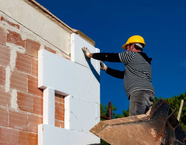 Best Eco-Friendly Insulation in East Hemet, CA