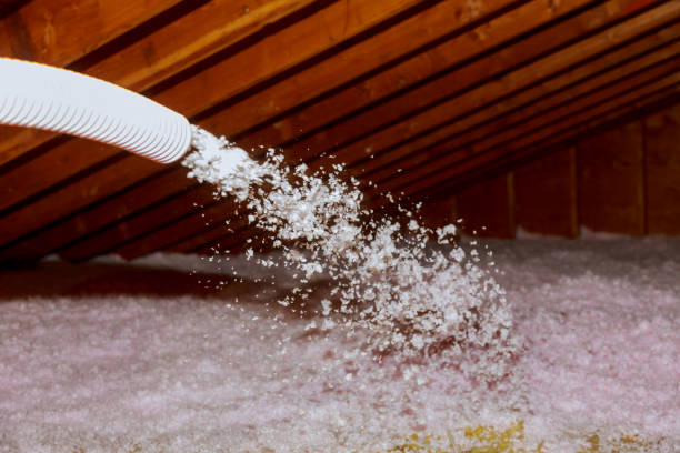 Best Residential Insulation in East Hemet, CA
